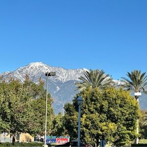 Meet your Posher, Posh